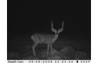 Property photo 31 - 7,320 Acres Offered in 5 Tracts